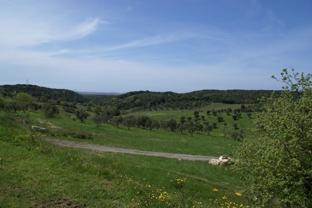 Fattoria La Tavernuzza Грассина Экстерьер фото